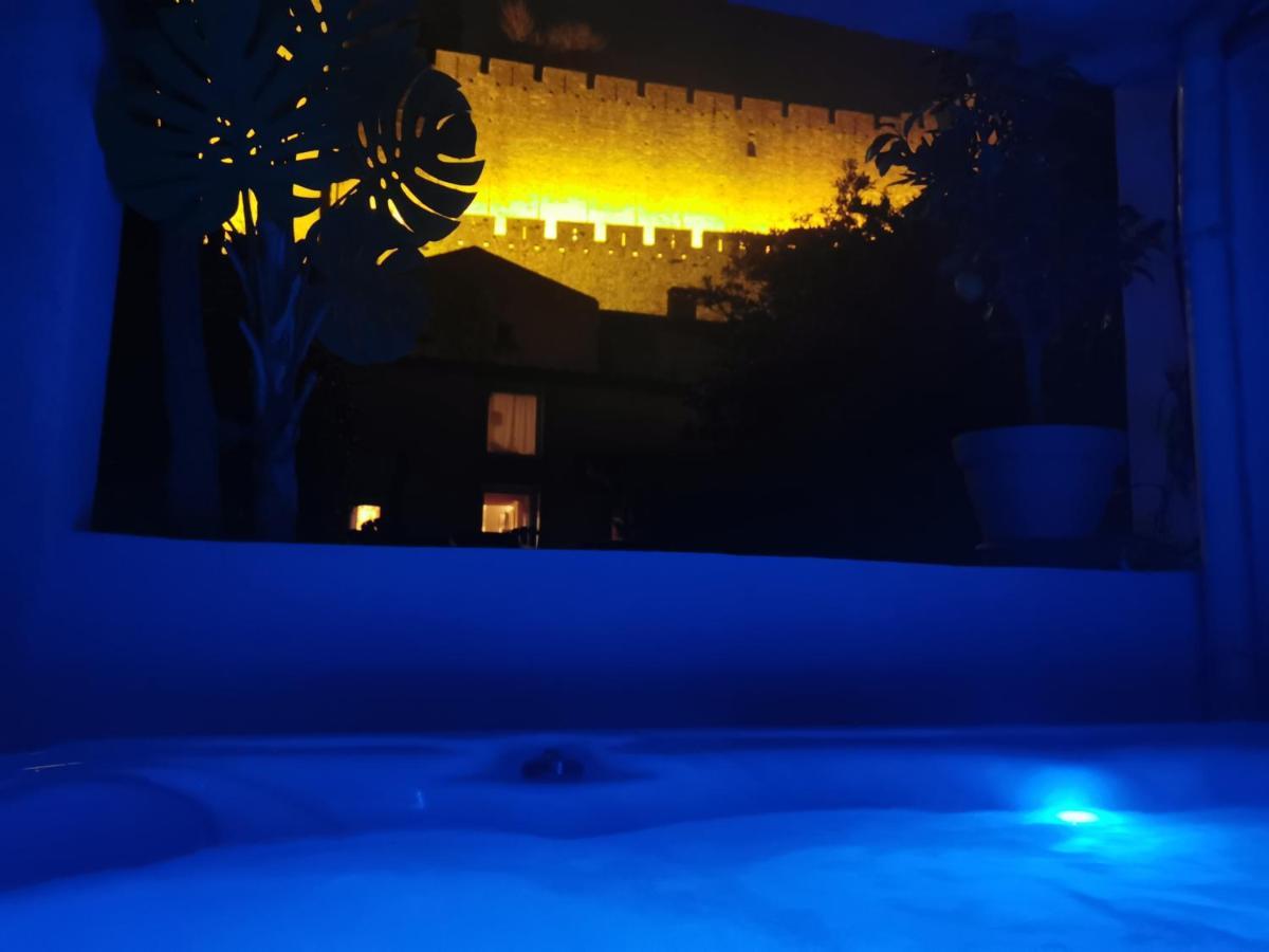 Le Cellier De Beaulieu, Au Pied De La Cite, Maison De Vacances Avec Climatisation Et Jacuzzi Carcassonne Eksteriør billede