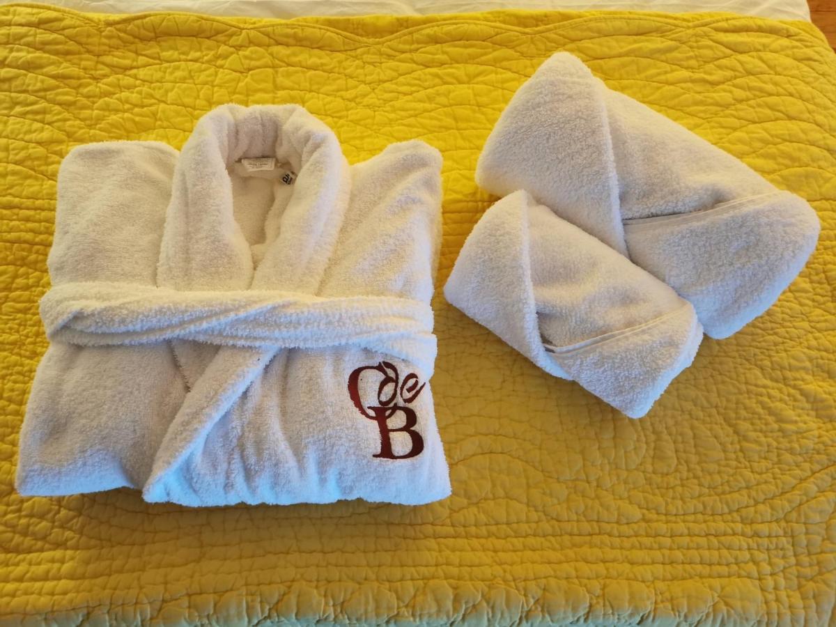 Le Cellier De Beaulieu, Au Pied De La Cite, Maison De Vacances Avec Climatisation Et Jacuzzi Carcassonne Eksteriør billede