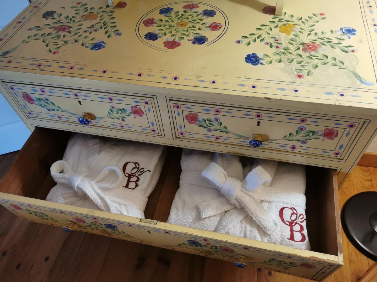 Le Cellier De Beaulieu, Au Pied De La Cite, Maison De Vacances Avec Climatisation Et Jacuzzi Carcassonne Eksteriør billede